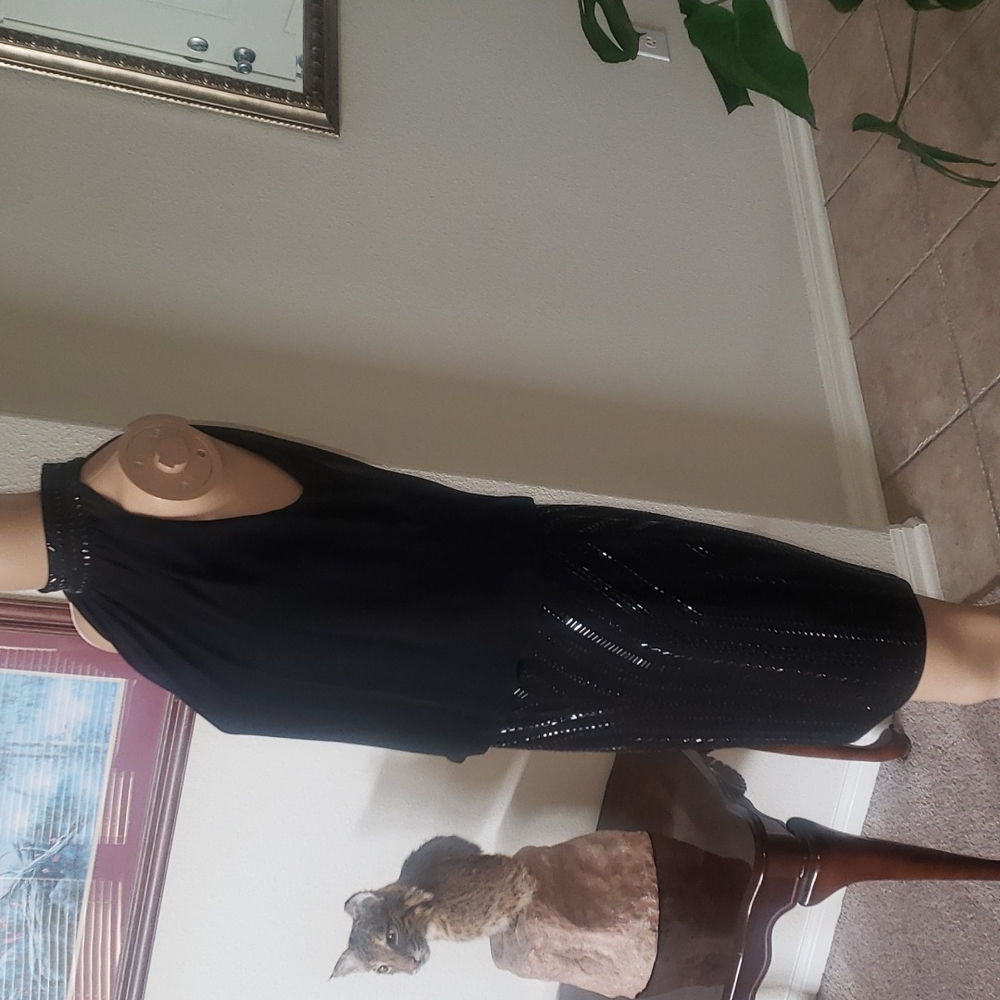 Cache 2 beaded mockneck & skirt flowy upper keyhole back - Picture 4 of 11